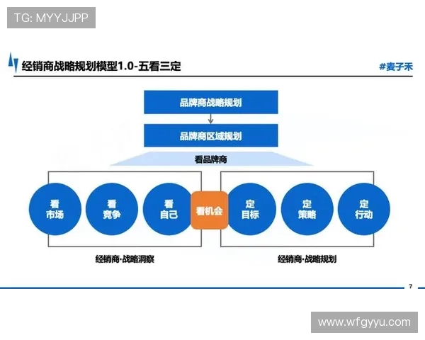 轻量级与重量级的全面对比探讨适合不同需求的选择与应用